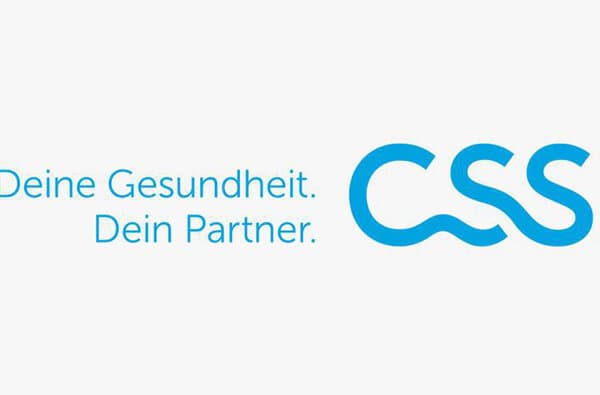 CSS_Logo_bearbeitet