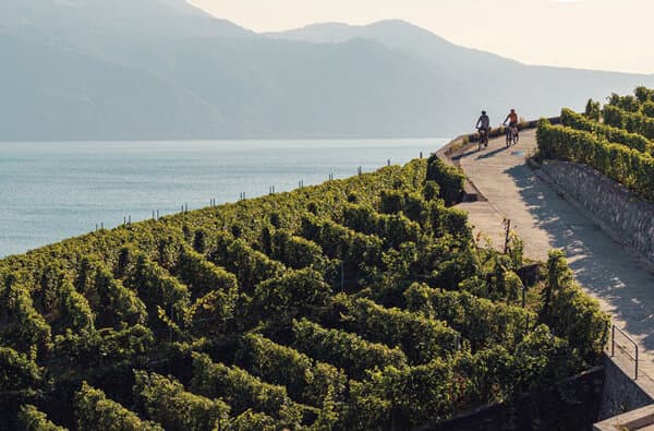 Schweiz-Tourismus_Genferseee_bearbeitet