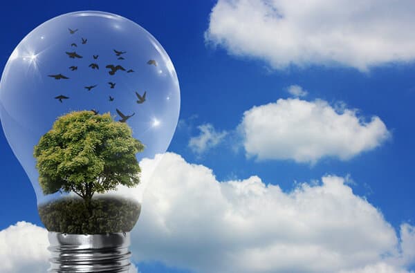 CO2-klimaneutral_Pixabay-Alexas_Fotos_bearbeitet